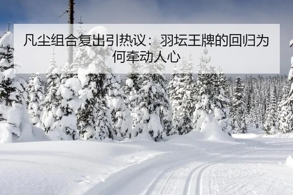 凡尘组合复出引热议：羽坛王牌的回归为何牵动人心